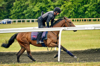 29th June 22 Warren Hill 010