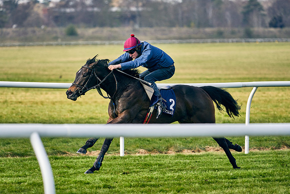 2021-04-12-Dominic-James-Craven-Breeze-Up-Sales-0151