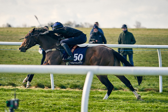 2021-04-12-Dominic-James-Craven-Breeze-Up-Sales-0052
