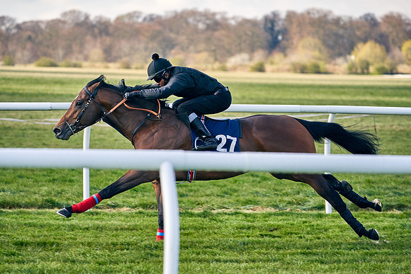 2021-04-12-Dominic-James-Craven-Breeze-Up-Sales-0075