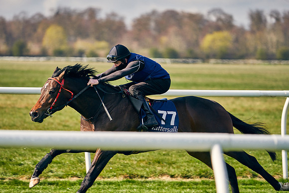 2021-04-12-Dominic-James-Craven-Breeze-Up-Sales-0013