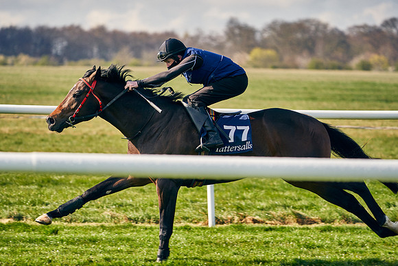 2021-04-12-Dominic-James-Craven-Breeze-Up-Sales-0016