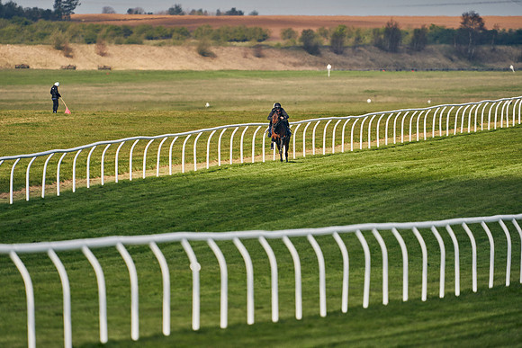 2021-04-12-Dominic-James-Craven-Breeze-Up-Sales-0134