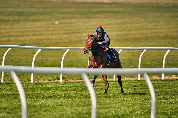 2021-04-12-Dominic-James-Craven-Breeze-Up-Sales-0158