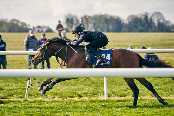 2021-04-12-Dominic-James-Craven-Breeze-Up-Sales-0142