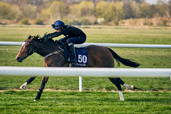 2021-04-12-Dominic-James-Craven-Breeze-Up-Sales-0045