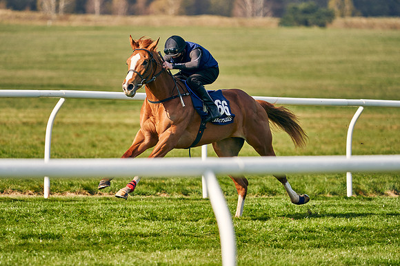 2021-04-12-Dominic-James-Craven-Breeze-Up-Sales-0110