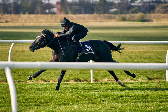2021-04-12-Dominic-James-Craven-Breeze-Up-Sales-0173