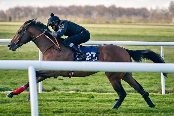 2021-04-12-Dominic-James-Craven-Breeze-Up-Sales-0077