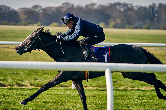 2021-04-12-Dominic-James-Craven-Breeze-Up-Sales-0006