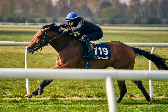 2021-04-12-Dominic-James-Craven-Breeze-Up-Sales-0183