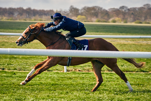 2021-04-12-Dominic-James-Craven-Breeze-Up-Sales-0064
