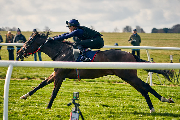 2021-04-12-Dominic-James-Craven-Breeze-Up-Sales-0195