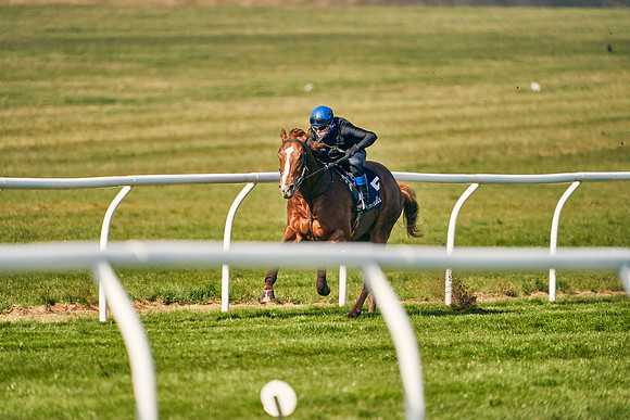 2021-04-12-Dominic-James-Craven-Breeze-Up-Sales-0096