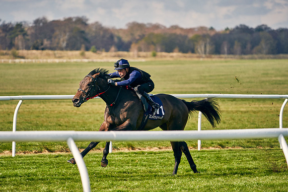 2021-04-12-Dominic-James-Craven-Breeze-Up-Sales-0124