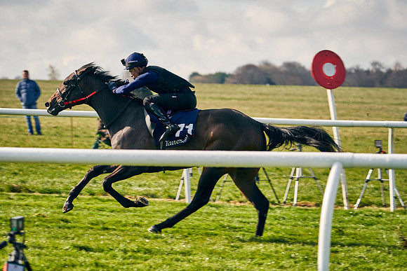 2021-04-12-Dominic-James-Craven-Breeze-Up-Sales-0131