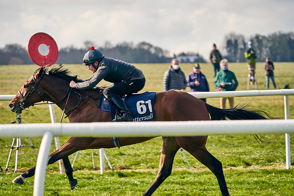 2021-04-12-Dominic-James-Craven-Breeze-Up-Sales-0163