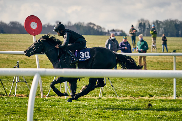 2021-04-12-Dominic-James-Craven-Breeze-Up-Sales-0177