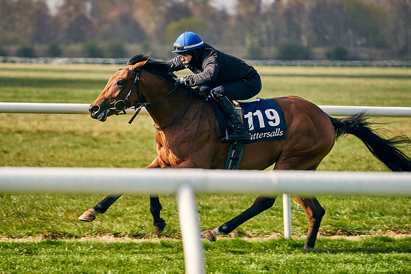 2021-04-12-Dominic-James-Craven-Breeze-Up-Sales-0182