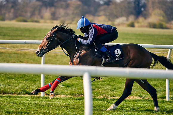 2021-04-12-Dominic-James-Craven-Breeze-Up-Sales-0026