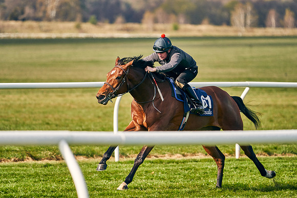 2021-04-12-Dominic-James-Craven-Breeze-Up-Sales-0159