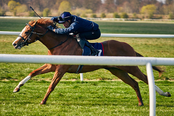 2021-04-12-Dominic-James-Craven-Breeze-Up-Sales-0062