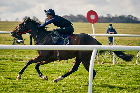 2021-04-12-Dominic-James-Craven-Breeze-Up-Sales-0193