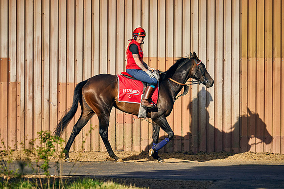 2022-07-05-Dominic-James-1503