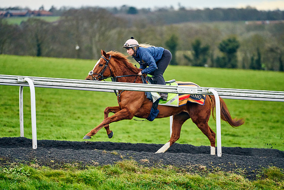 2022-02-01-Dominic-James-2492