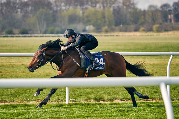 2021-04-12-Dominic-James-Craven-Breeze-Up-Sales-0139