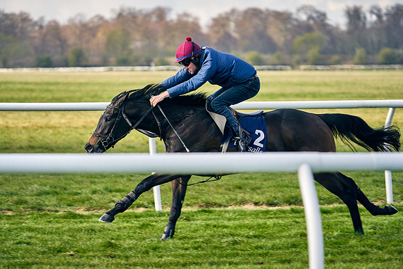 2021-04-12-Dominic-James-Craven-Breeze-Up-Sales-0155