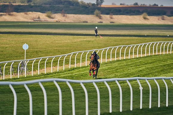 2021-04-12-Dominic-James-Craven-Breeze-Up-Sales-0069