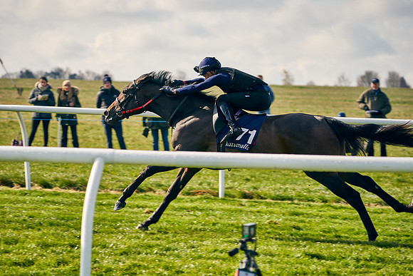 2021-04-12-Dominic-James-Craven-Breeze-Up-Sales-0133