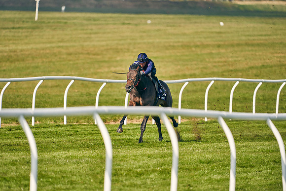 2021-04-12-Dominic-James-Craven-Breeze-Up-Sales-0117
