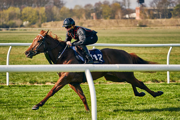 2021-04-12-Dominic-James-Craven-Breeze-Up-Sales-0083