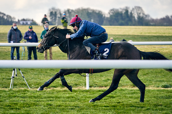 2021-04-12-Dominic-James-Craven-Breeze-Up-Sales-0156