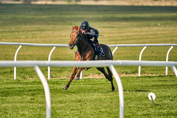 2021-04-12-Dominic-James-Craven-Breeze-Up-Sales-0082