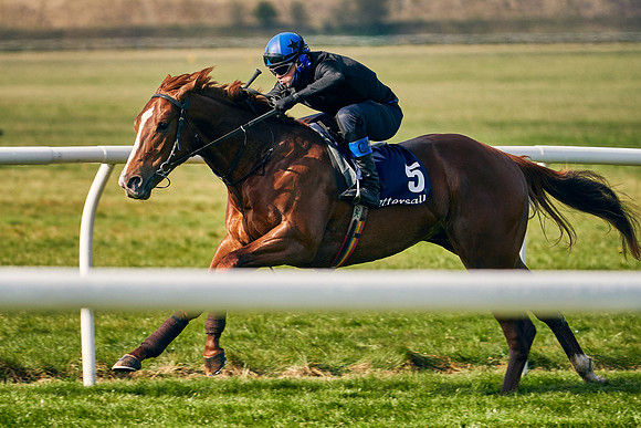 2021-04-12-Dominic-James-Craven-Breeze-Up-Sales-0097