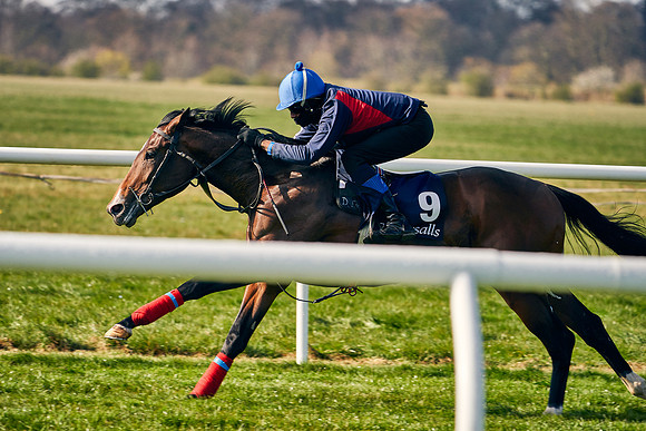 2021-04-12-Dominic-James-Craven-Breeze-Up-Sales-0027