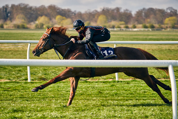 2021-04-12-Dominic-James-Craven-Breeze-Up-Sales-0086