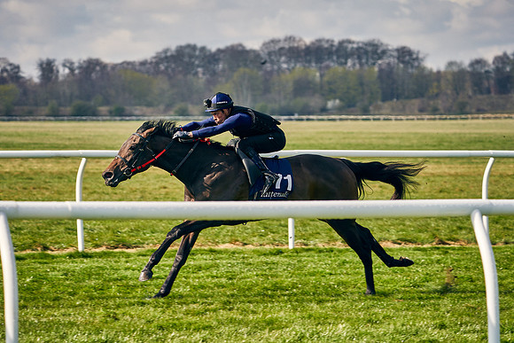 2021-04-12-Dominic-James-Craven-Breeze-Up-Sales-0127