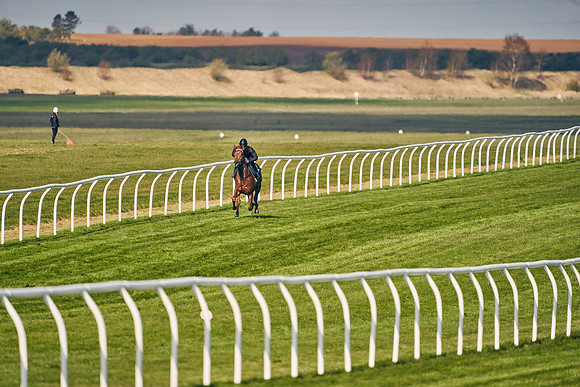 2021-04-12-Dominic-James-Craven-Breeze-Up-Sales-0080
