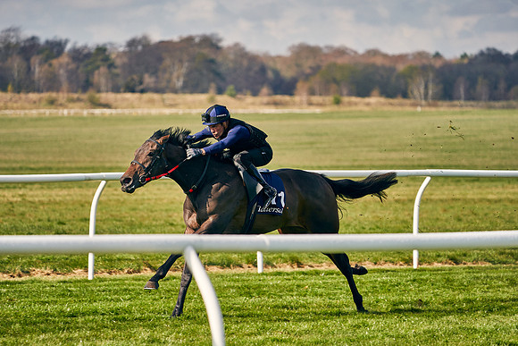 2021-04-12-Dominic-James-Craven-Breeze-Up-Sales-0125