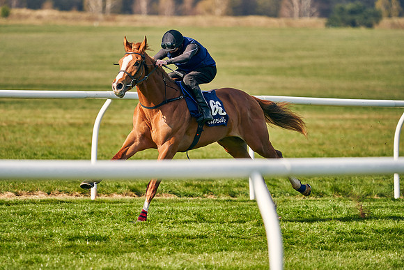 2021-04-12-Dominic-James-Craven-Breeze-Up-Sales-0111