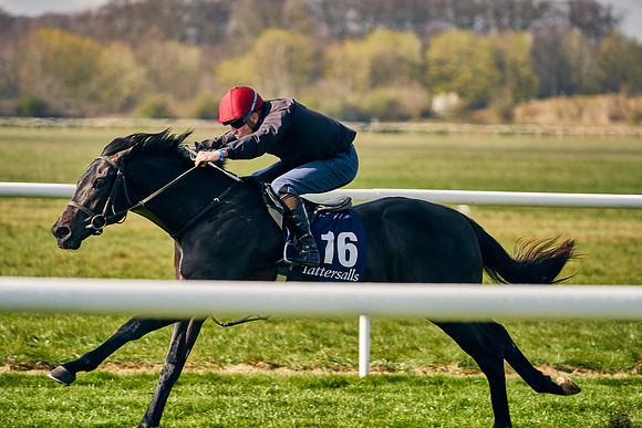 2021-04-12-Dominic-James-Craven-Breeze-Up-Sales-0167