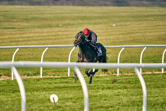 2021-04-12-Dominic-James-Craven-Breeze-Up-Sales-0165