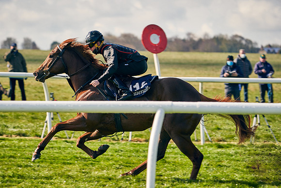 2021-04-12-Dominic-James-Craven-Breeze-Up-Sales-0089