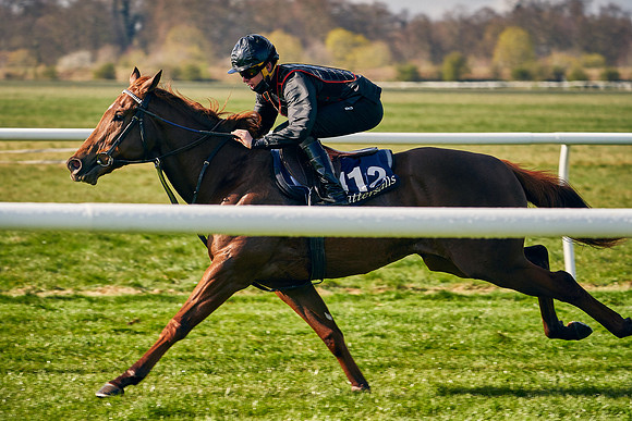 2021-04-12-Dominic-James-Craven-Breeze-Up-Sales-0087
