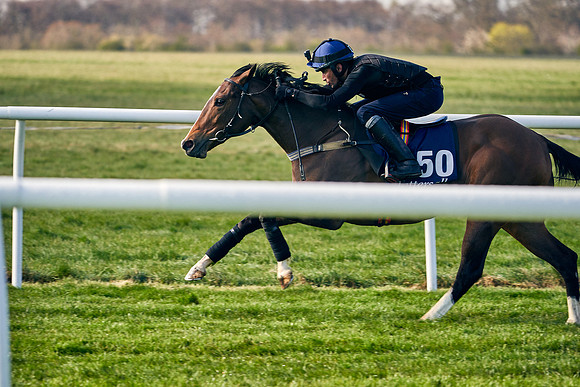2021-04-12-Dominic-James-Craven-Breeze-Up-Sales-0046