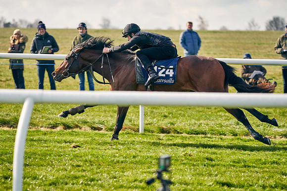 2021-04-12-Dominic-James-Craven-Breeze-Up-Sales-0146